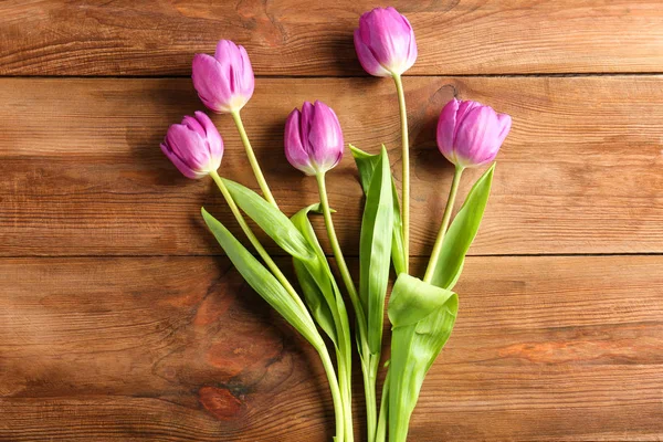Beautiful lilac tulips — Stock Photo, Image