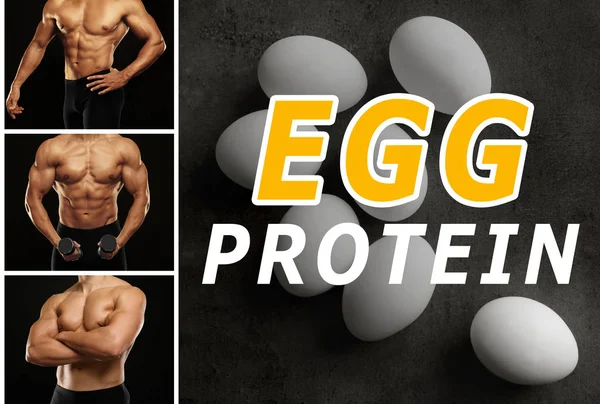 Egg protein concept — Stock Photo, Image