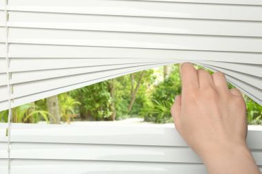 kaburgalar güneşlikler ormandaki ayıran el