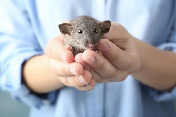 Jeune femme avec rat mignon — Photo