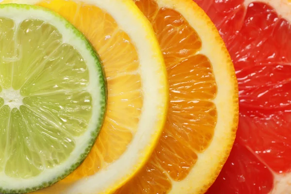 Different citrus fruits Stock Picture