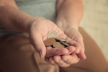 Paralar ile üst düzey kadın elinde