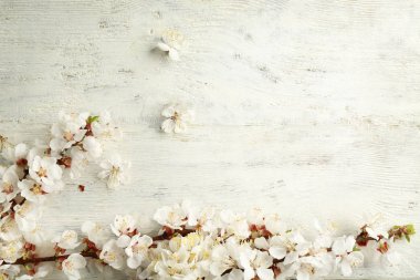 Ahşap üzerine çiçek dalları