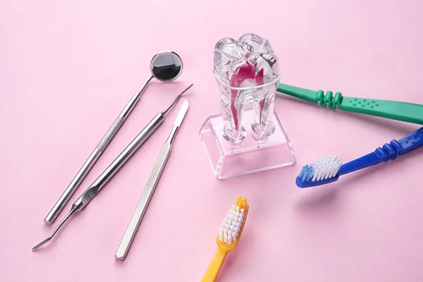 Tandenborstels, tandheelkundige instrumenten en tand mockup — Stockfoto