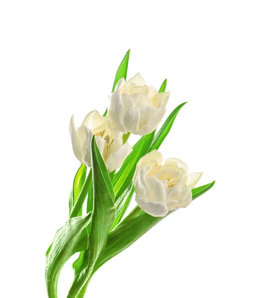 Beautiful bouquet of tulips — Stock Photo, Image