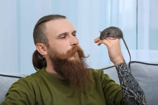Homem barbudo com rato engraçado em casa — Fotografia de Stock