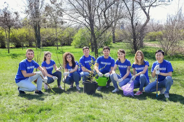 Grupo de voluntarios en el parque el día soleado —  Fotos de Stock