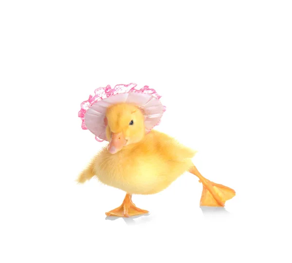 Cute funny duckling — Stock Photo, Image