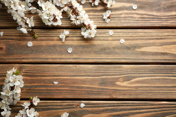 Blossoming branches on wood — Stock Photo, Image