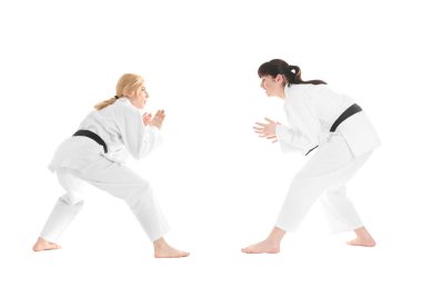 Women practicing martial arts  clipart