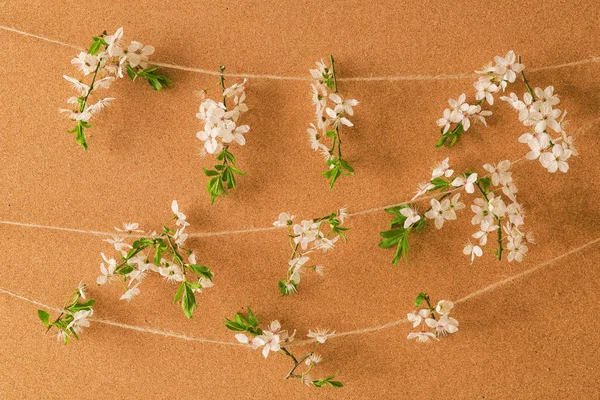 Ramos de primavera florescentes — Fotografia de Stock