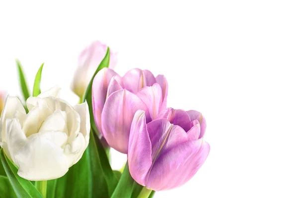Belo buquê de tulipas — Fotografia de Stock