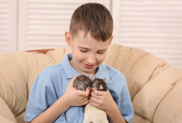 Sevimli çocuk komik farelerle — Stok fotoğraf