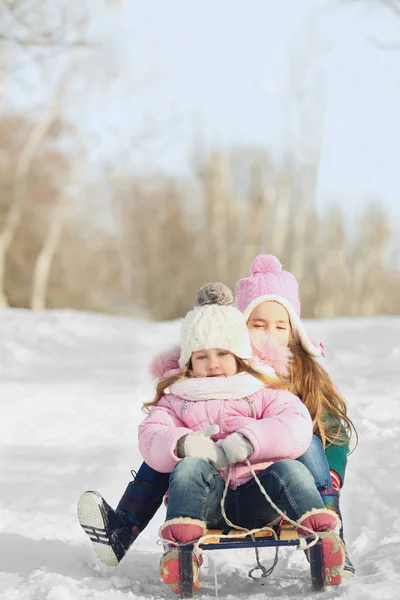 Χαρούμενα παιδιά να διασκεδάζουν και έλκηθρο στο χιόνι — Φωτογραφία Αρχείου