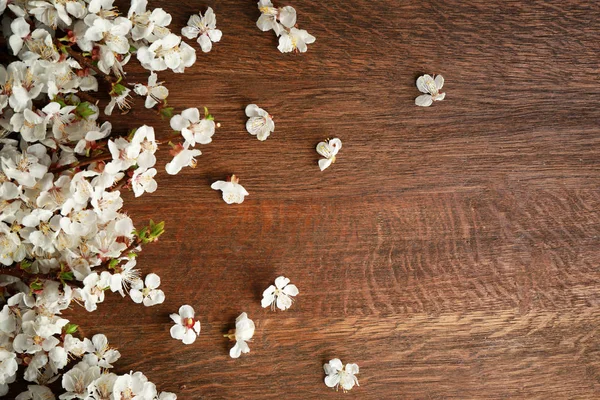 Blossoming branches on wood — Stock Photo, Image