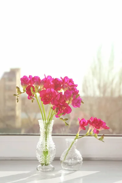 Vasen mit schönen Blumen — Stockfoto