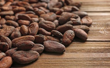 Aromatik kakao çekirdekleri 