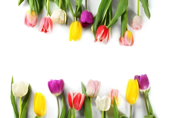 Schöne bunte Tulpen — Stockfoto