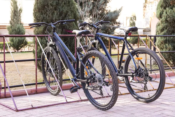 Cyklar på parkeringsplatser — Stockfoto
