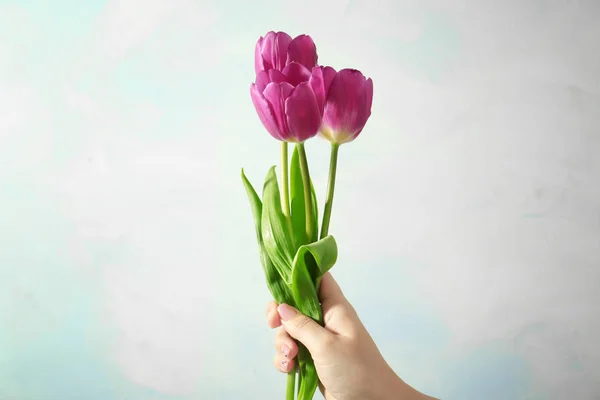 Kvinnlig hand med vackra tulpaner — Stockfoto
