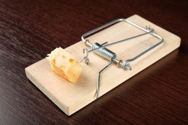 Mousetrap with cheese on wooden table clipart