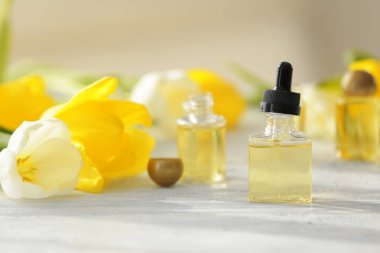 Parfüm şişeleri ve Lale çiçek