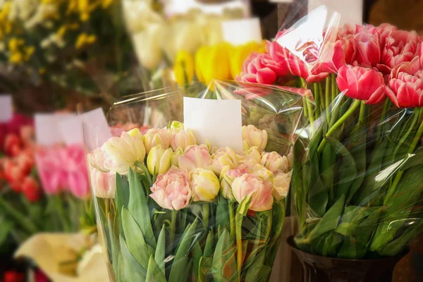Красивые красочные тюльпаны — стоковое фото