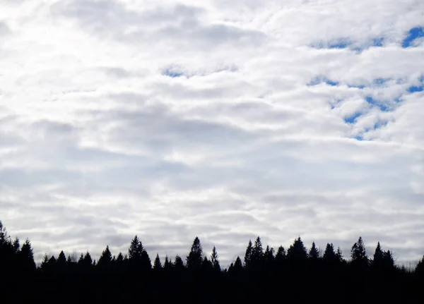 Schöne Landschaft mit Wald und bewölktem Himmel — Stockfoto