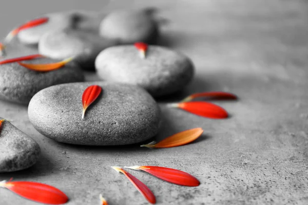 Спа камені та пелюстки хризантем — стокове фото