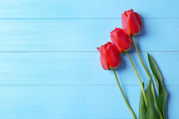 Красиві тюльпани дерев'яний фон — стокове фото
