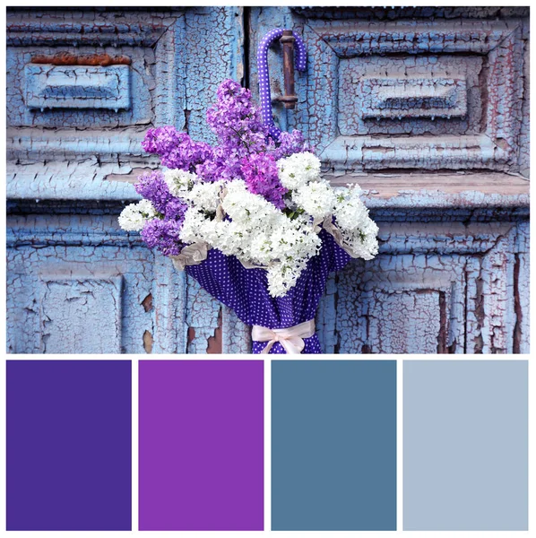 Lila Farbe passend und Blumen — Stockfoto