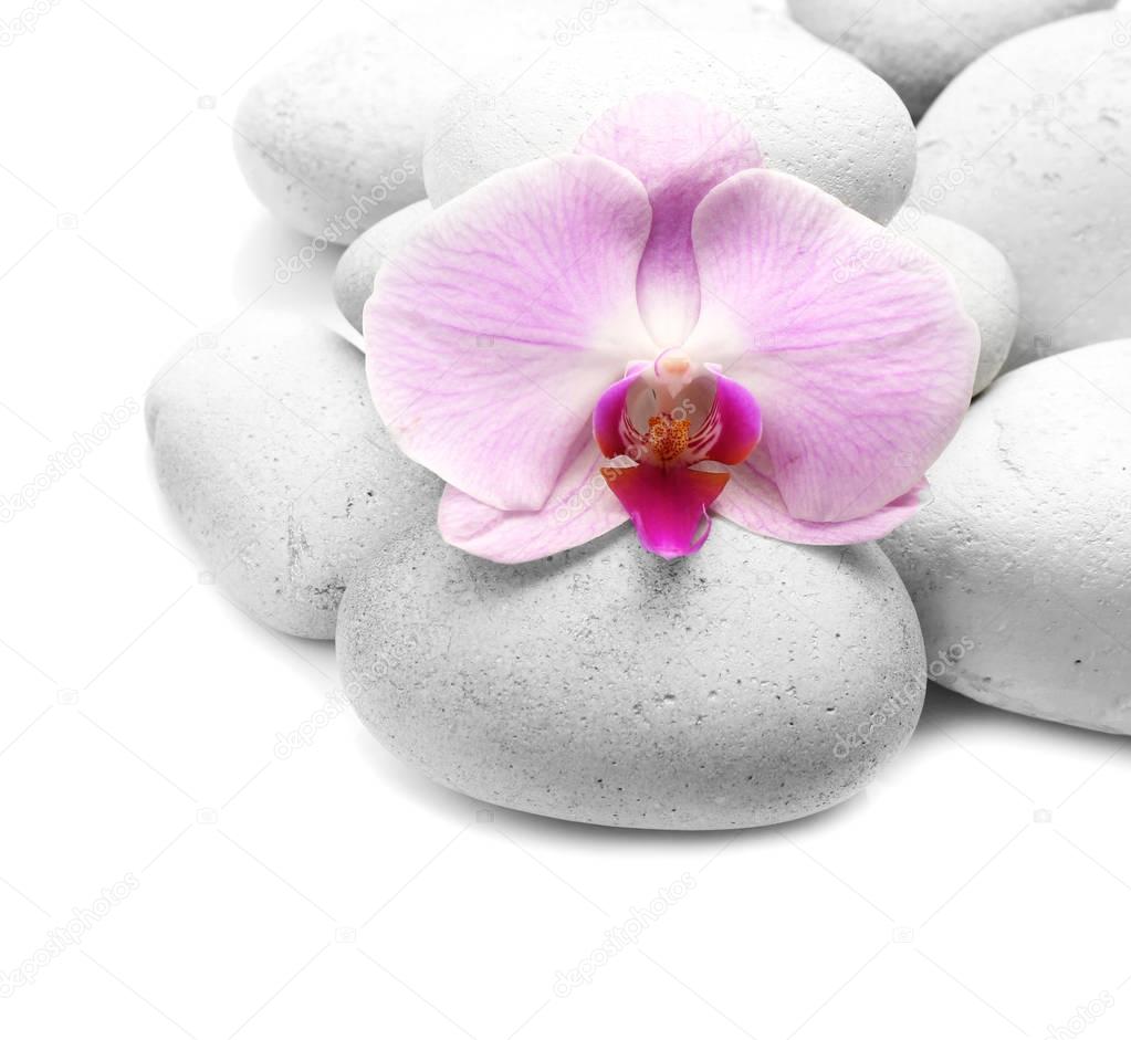 Spa stones and orchid