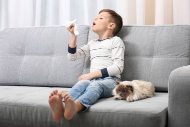 Hayvan Anti kavramı. Sevimli küçük çocuk ile kedi evde kanepe