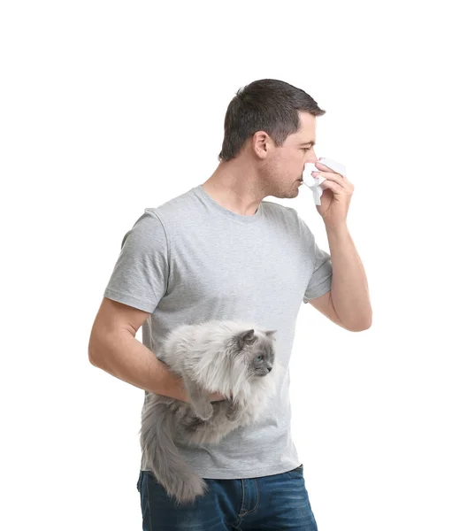 Conceito de alergia animal. Bonito homem com gato no fundo branco — Fotografia de Stock