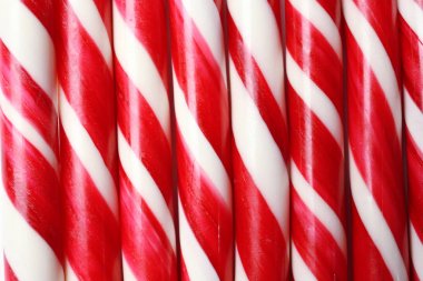 Noel şeker kamışları 