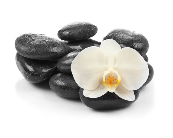 Piedras de spa con flor de orquídea — Foto de Stock