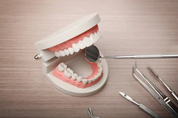 Tandläkaren undersöka tänder modell — Stockfoto