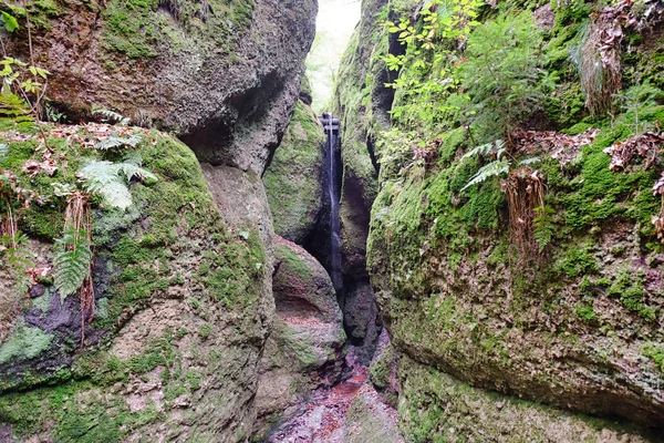 小さな滝や公園の大きな石 — ストック写真