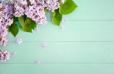 Eflatun çiçekler çok güzel