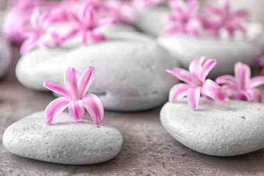 Spa taşlar ve sümbül 