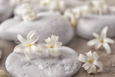 Spa taşlar ve sümbül 