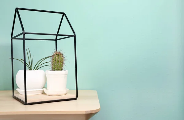 Planten op tafel tegen muur — Stockfoto