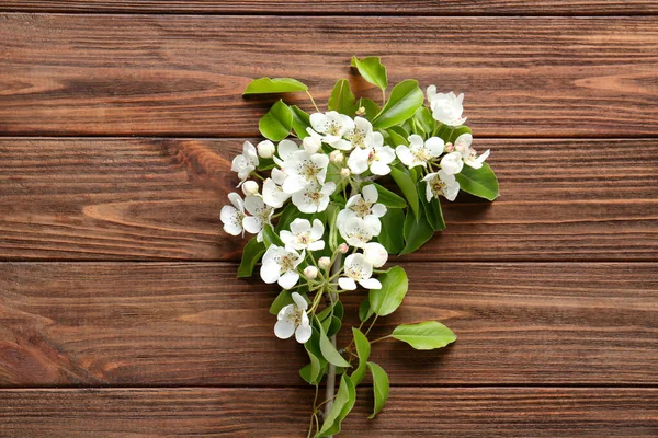 Ramo de árvore com flores florescentes — Fotografia de Stock