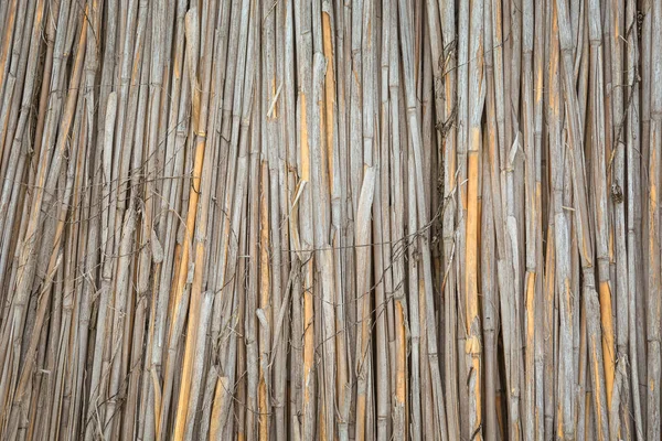 Natural reed texture — Stock Photo, Image