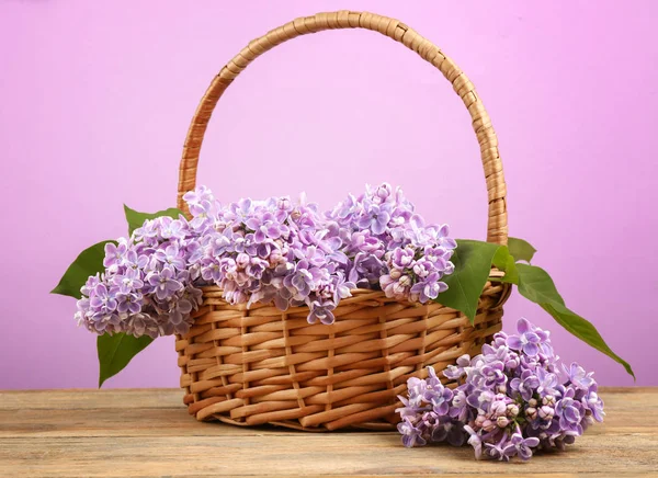 Cesta de mimbre con flores lila — Foto de Stock