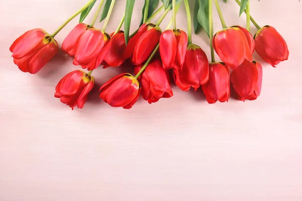 Bei tulipani rossi — Foto Stock