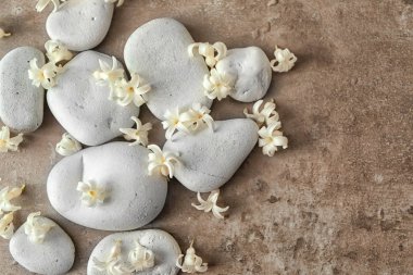 Spa taşlar ve sümbül 