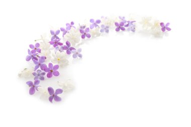 Eflatun çiçekler çok güzel