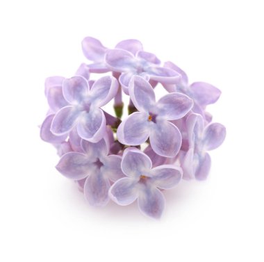 Büyükanne torunları Bahçe ile  