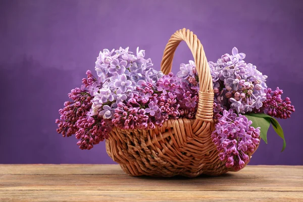 Cesta de mimbre con flores lila — Foto de Stock